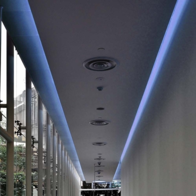 Taśma V-TAC SKU212137 VT-5050 60-IP20-11 Kolor Nie