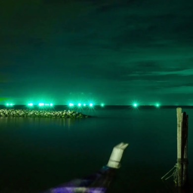 Projektor V-TAC SKU5991 VT-4021-G Kolor Zielony 20